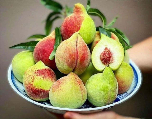 Đào mỏ quạ vào mùa giá siêu rẻ, cách đơn giản để chị em rủ nhau ‘săn’ hàng ngon, tránh hàng Trung Quốc- Ảnh 5.