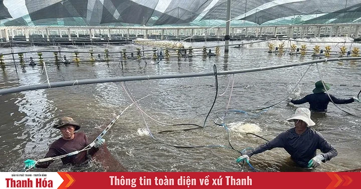 Khi công nghệ thành “bạn đồng hành”