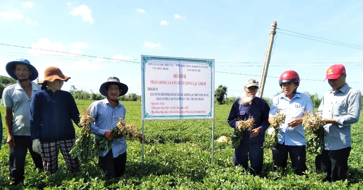 Khai thác tiềm năng, thế mạnh để phát triển nông nghiệp bền vững