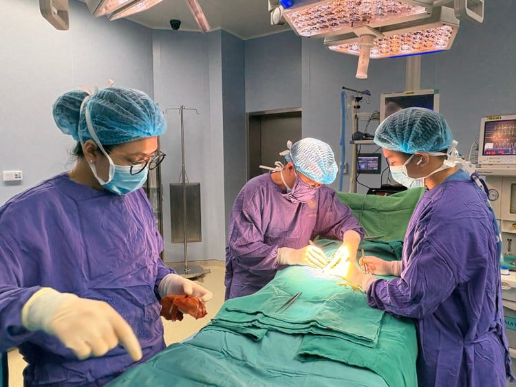 vui-duong-vat1.jpg