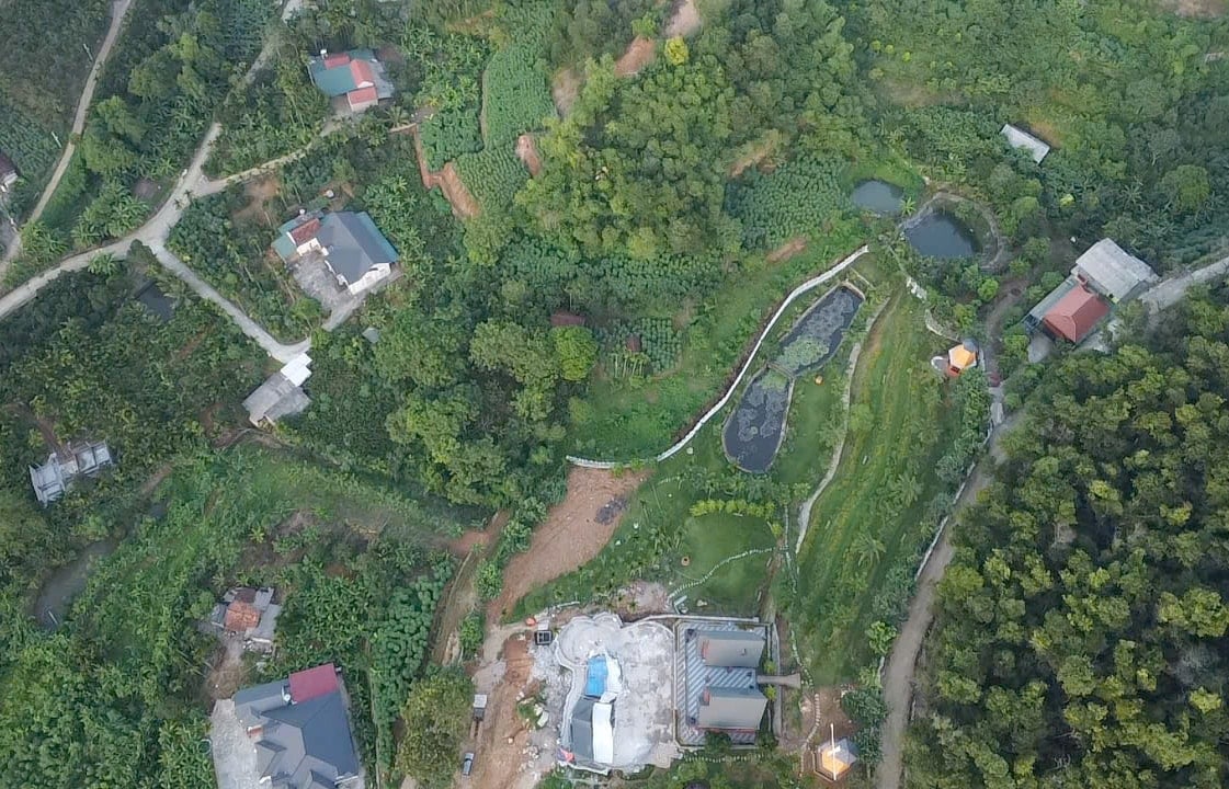 thanh-pho-ha-noi-hien-co-khoang-27.000ha-rung-va-dat-lam-nghiep-phan-bo-tai-cac-xa-ba-vi-yen-bai-suoi-hai-yen-xuan-trong-anh-mot-goc-xa-ba-vi..jpg