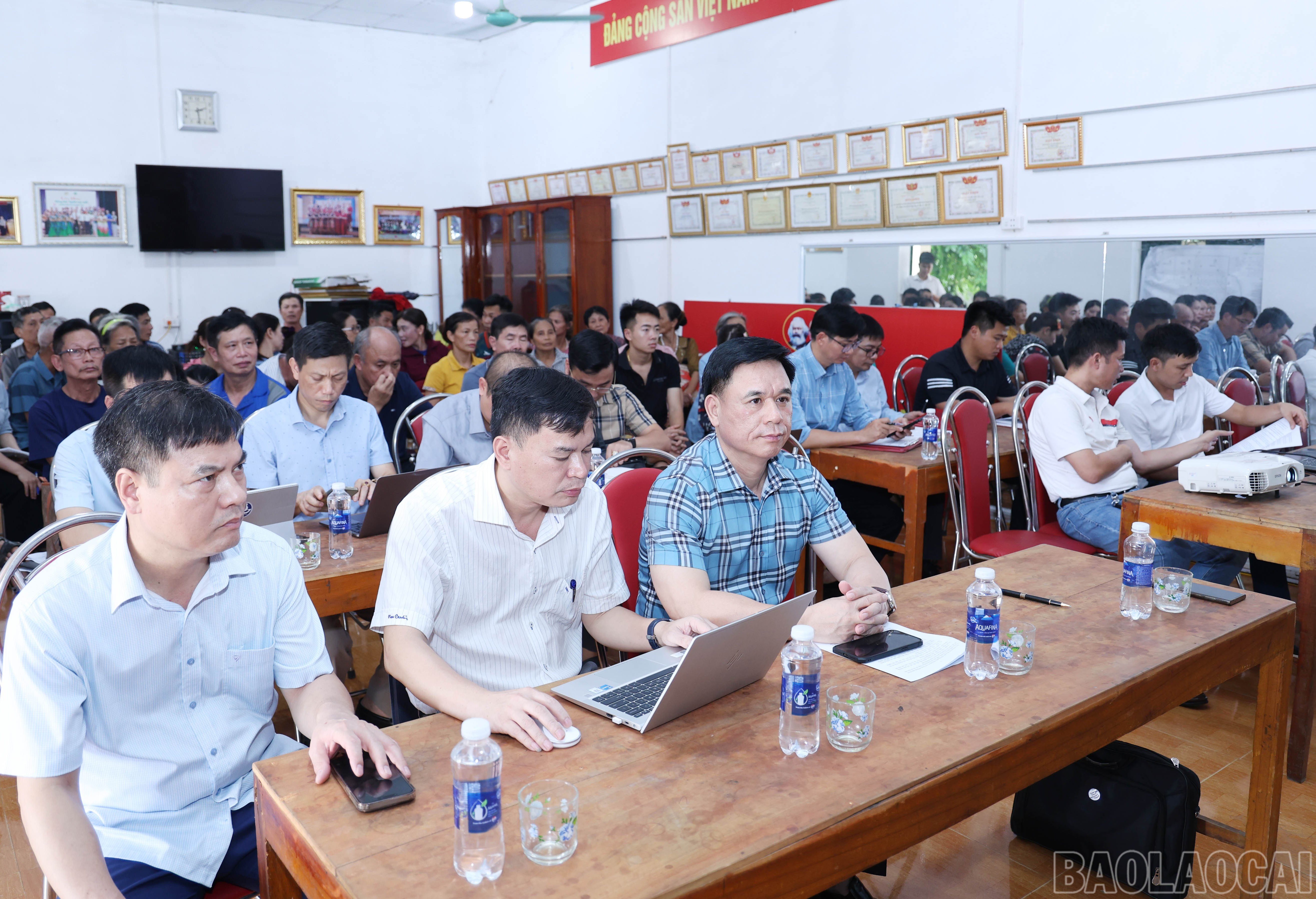 baolaocai-br_6788.jpg