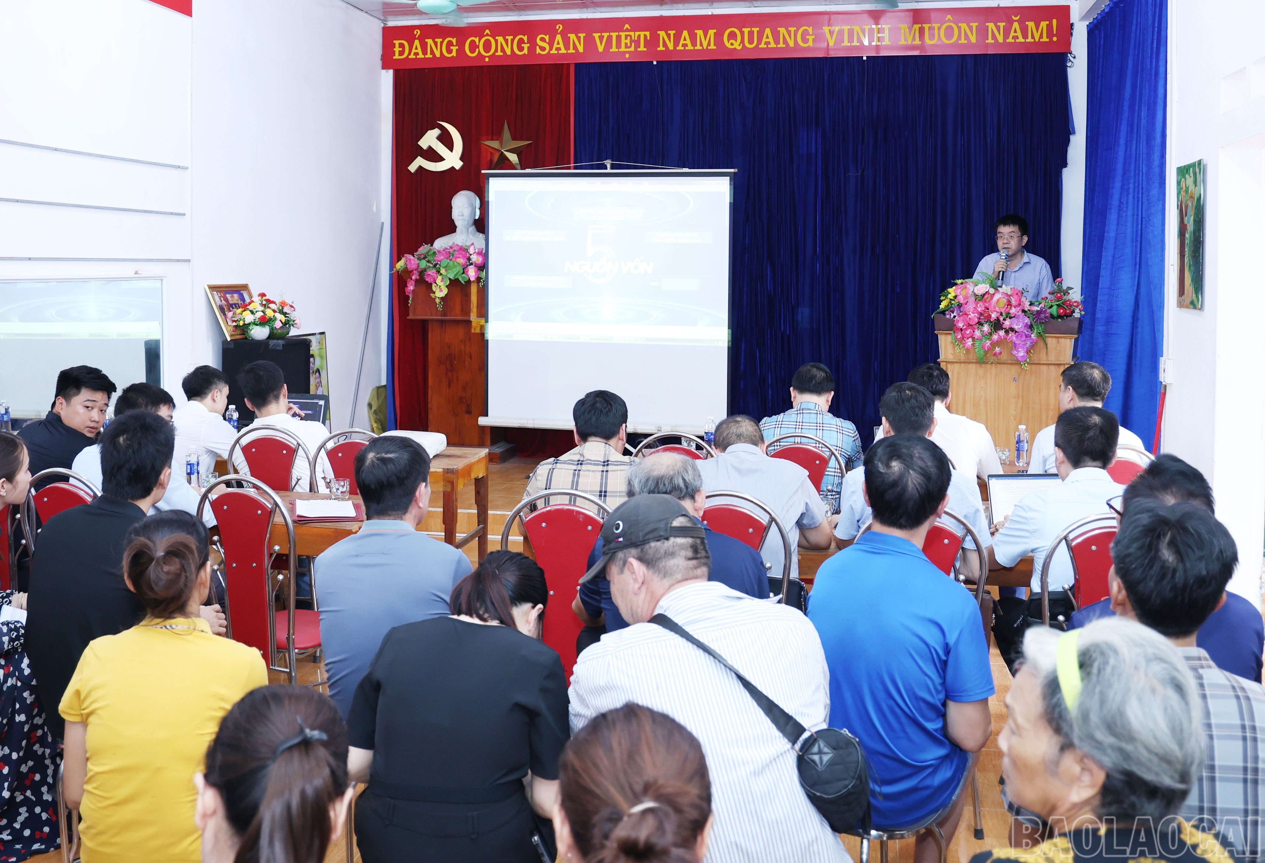 baolaocai-br_6779.jpg