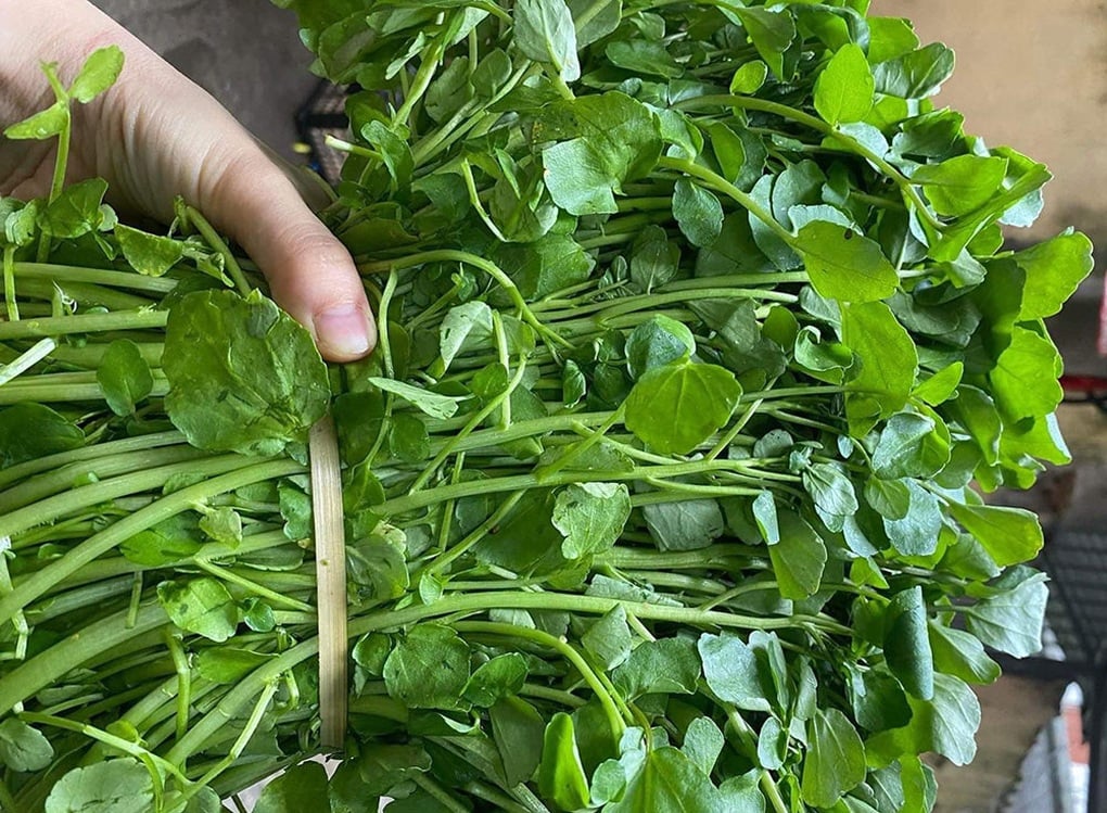 Lý do cải xoong được tôn làm loại rau số 1 thế giới - 1