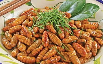Top 7 món nhộng tằm dân nhậu dễ ghiền, người thành phố cũng mê, lại rất dễ làm tại nhà- Ảnh 2.