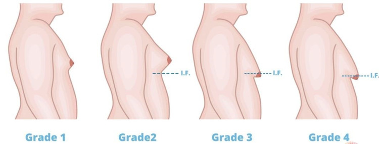 phi-dai-1.jpg