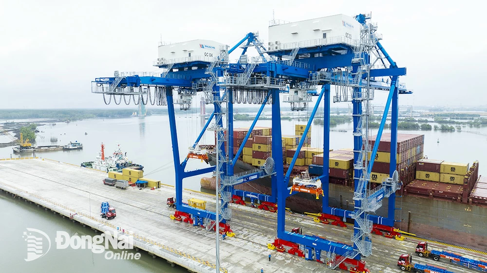 Hoạt động dịch vụ cảng, logistics tại Cảng Phước An (xã Phước An). Ảnh: H.Quân