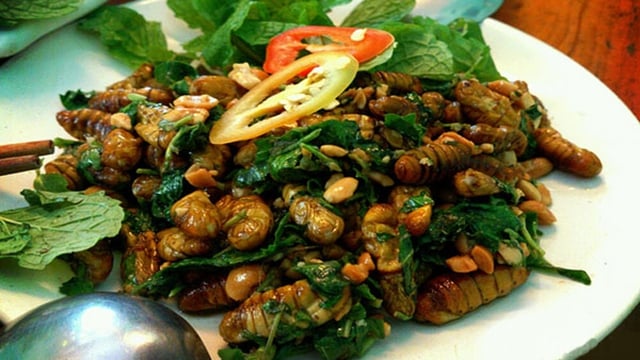 Top 7 món nhộng tằm dân nhậu dễ ghiền, người thành phố cũng mê, lại rất dễ làm tại nhà- Ảnh 3.