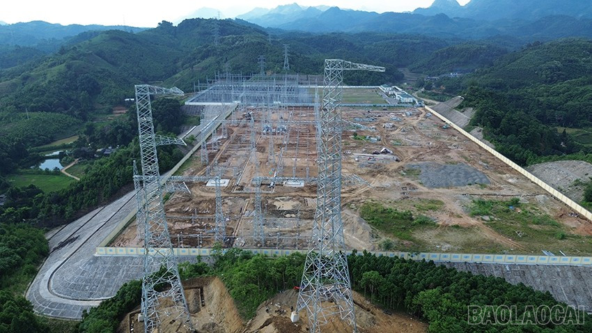 baolaocai-br_dji-0514.jpg