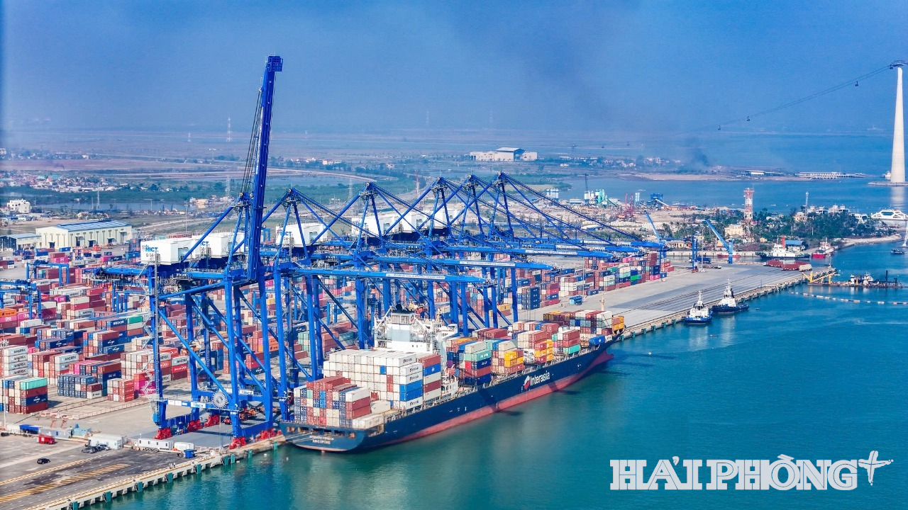 cang-hai-phong(1).png