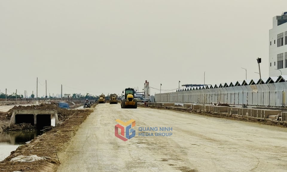 Thi công san nền dự án hạ tầng KCN Bắc Tiền Phong. Ảnh: Mạnh Trường
