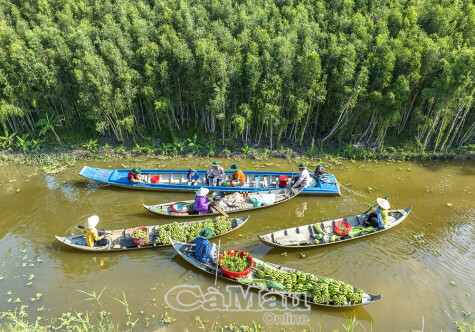ទាក់ទាញ U Minh Ha ក្នុងរដូវទឹកជំនន់