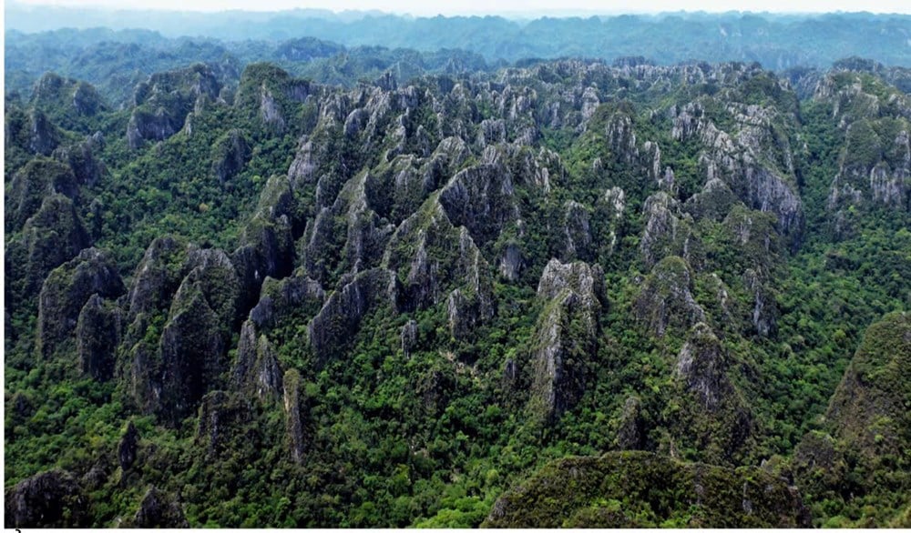 UNESCO công nhận di sản liên biên giới Vườn quốc gia Phong Nha - Kẻ Bàng và Vườn quốc gia Hin Nam Nô - Lào - ảnh 8