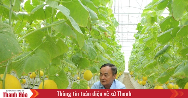 Điểm sáng sản xuất nông nghiệp ứng dụng công nghệ cao