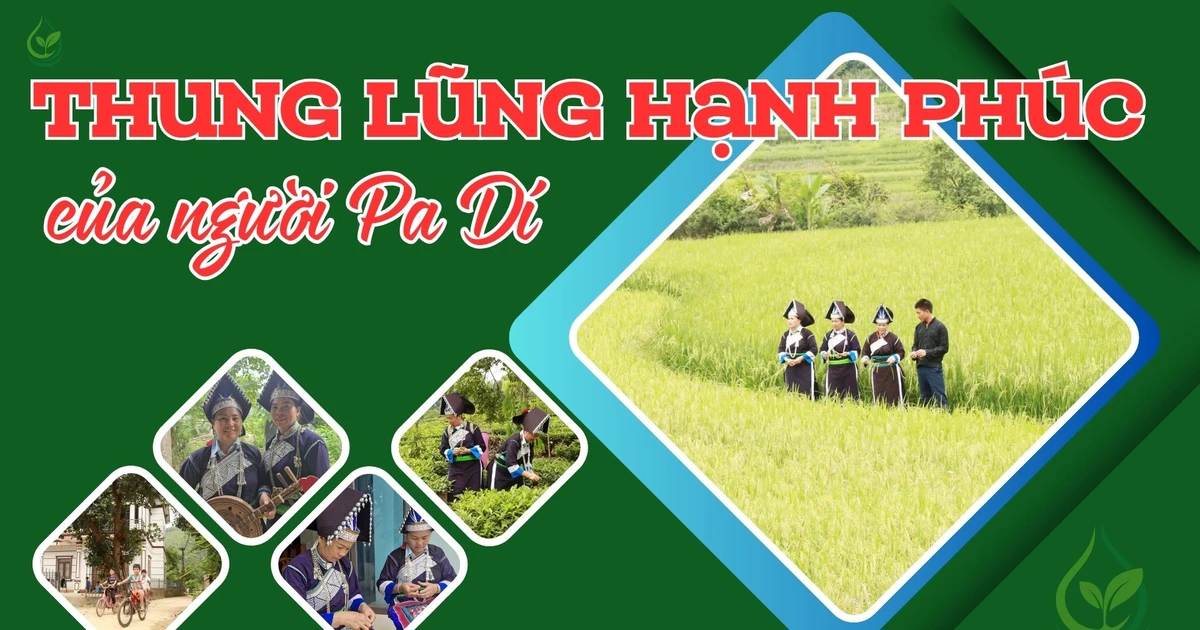 ជ្រលងភ្នំរីករាយនៃប្រជាជនប៉ាឌី