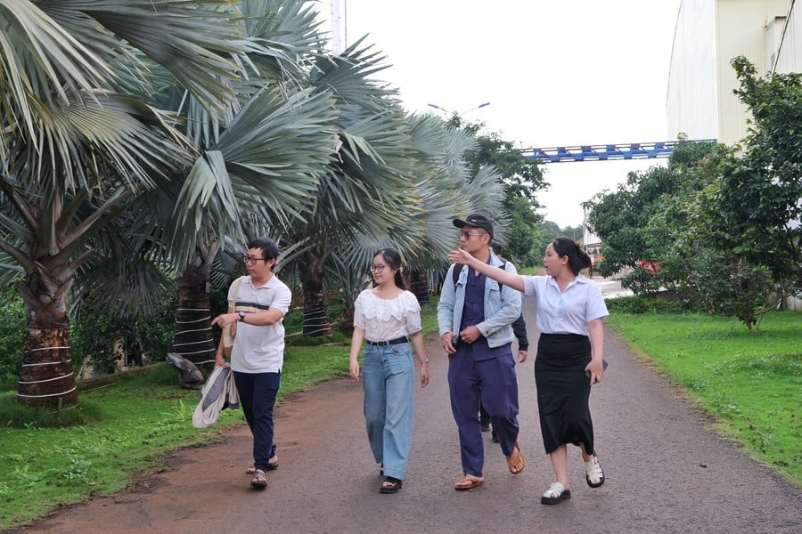 du-khach-di-duoi-hang-cay-ke-bat-mot-loai-duoc-lieu-lam-thuoc-sat-trung-vua-tao-canh-quan-cho-diem-du-lich.jpg