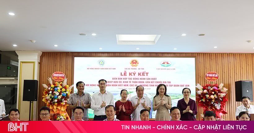 ភ្ជាប់ផលិតកម្មកសិកម្មសរីរាង្គតាមខ្សែសង្វាក់តម្លៃ Que Lam