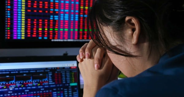 VN-Index lập đỉnh lịch sử nhưng tài khoản chứng khoán nhà đầu tư vẫn lẹt đẹt