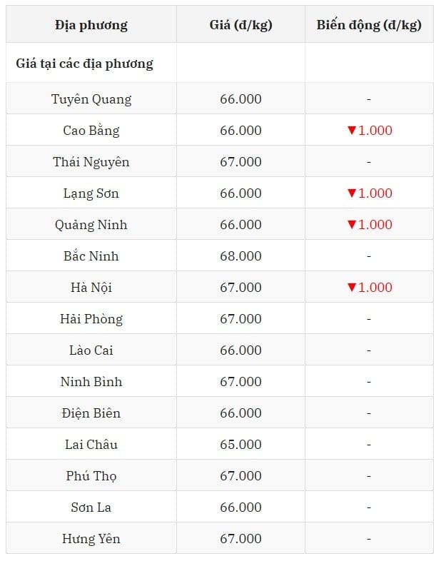 Giá heo hơi hôm nay 13 7 2025 ở miền Bắc