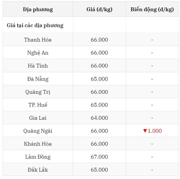 Giá heo hơi hôm nay 13 7 2025 ở miền Trung - Tây Nguyên