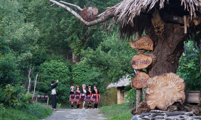 Lai Châu: Phát triển kinh tế nông thôn bền vững với mô hình du lịch cộng đồng tiêu chuẩn OCOP- Ảnh 1.