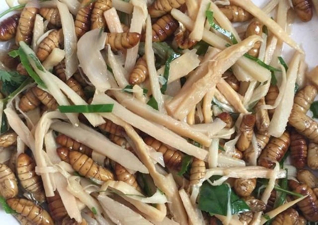 Món nhộng tằm rất ngon nhưng mẹ dặn tôi phải biết một điều, kẻo một lần ăn sai cả đời sợ hãi- Ảnh 3.