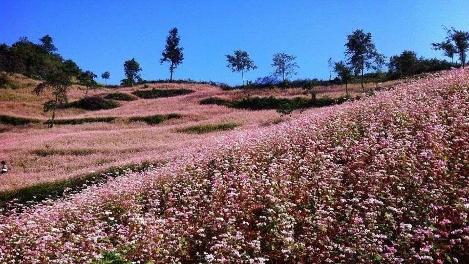 ភារកិច្ចសំខាន់ៗនៃឧស្សាហកម្មទេសចរណ៍ក្នុងរយៈពេល 6 ខែចុងក្រោយនៃឆ្នាំ 2025