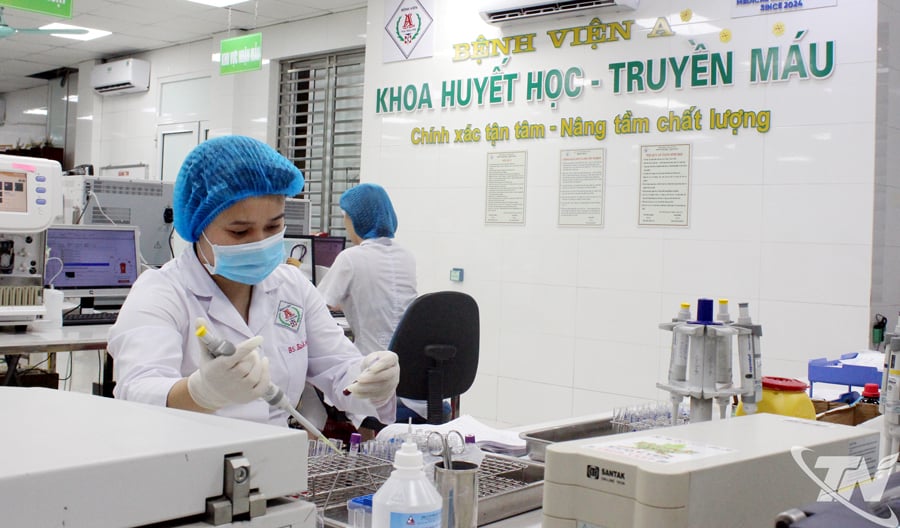 Bác sĩ Khoa Huyết học và Truyền máu Bệnh viện A thực hiện kỹ thuật định nhóm máu.