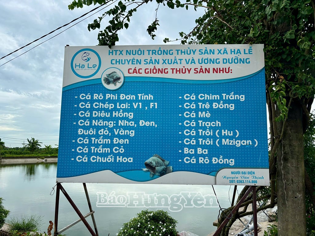 សហករណ៍មានឯកទេសក្នុងការផលិត និងចិញ្ចឹមពូជសត្វក្នុងទឹកជាច្រើន ការប្រើប្រាស់ក្នុងស្រុក និងទីផ្សារនាំចេញ។