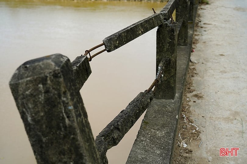 bqbht_br_9dsc09941.jpg