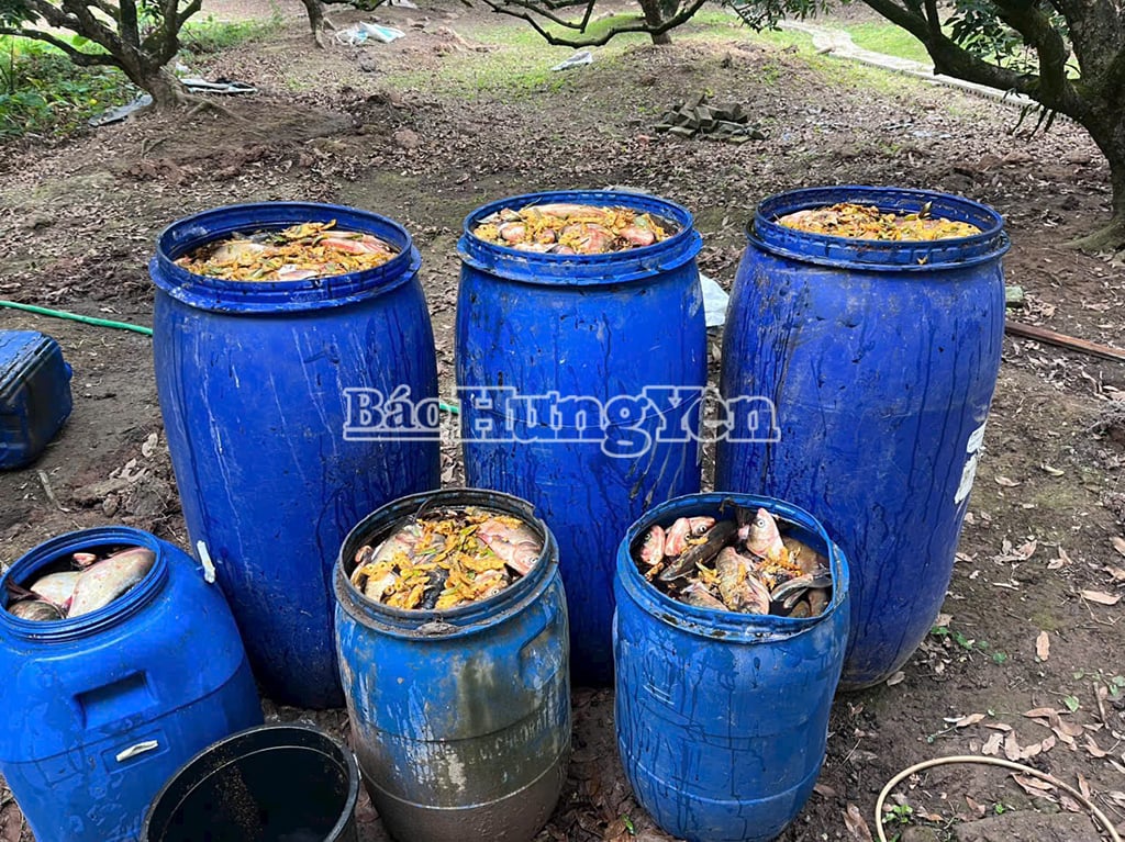 លោក ស៊ូ បង្កាត់​ត្រី​ជាមួយ​នឹង​ការ​រៀបចំ​ស្រោច​ទឹក​ដើម​ឡុង​។