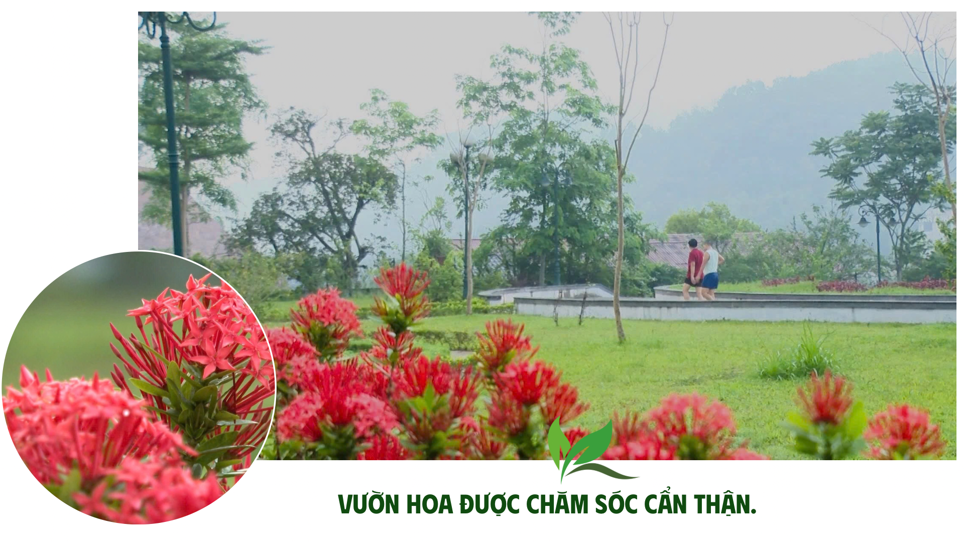 ឧទ្យាន Dong Tam ត្រូវបានគ្រោងនឹងរួមបញ្ចូលតំបន់មុខងារនៃវប្បធម៌ កីឡា ការកម្សាន្ត និងការកម្សាន្ត-3.png