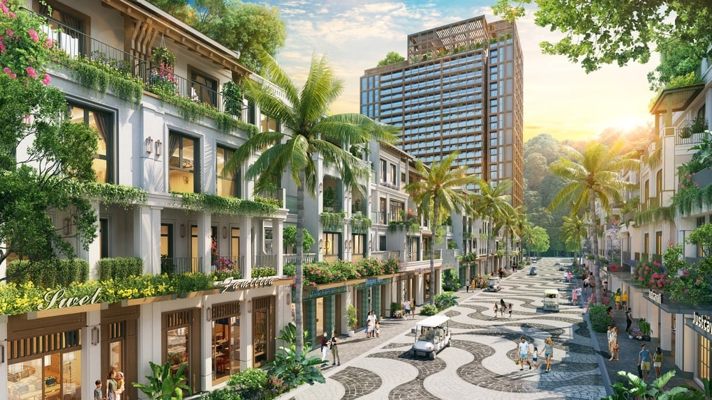 គម្រោងអគារទាប Sun Group Cat Ba៖ ដំណើរឆ្លងកាត់វួដសិប្បកម្មបេតិកភណ្ឌចំនួន ៧ - ៣