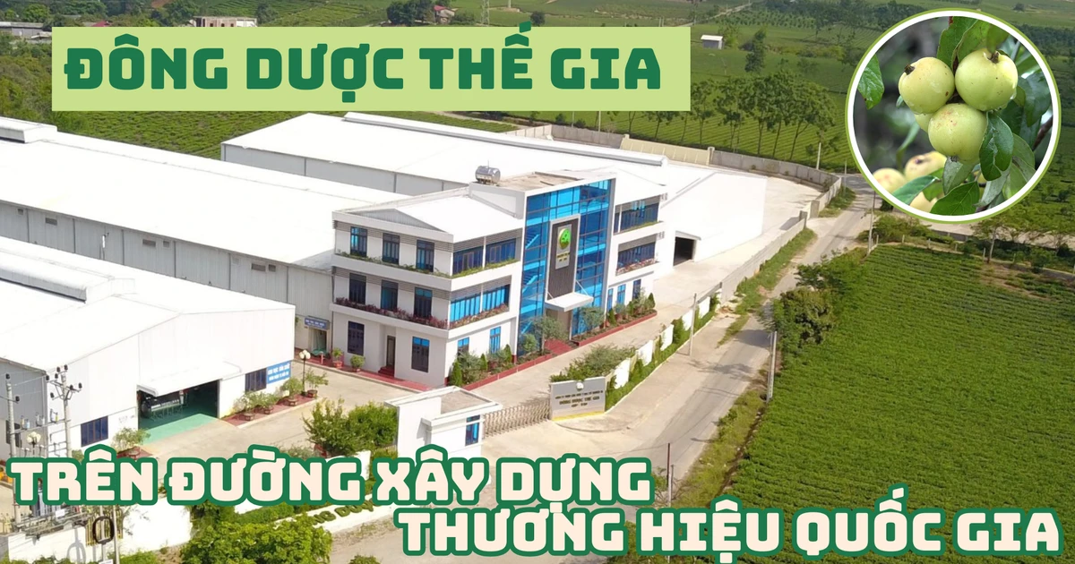 Đông dược Thế Gia trên hành trình xây dựng thương hiệu quốc gia