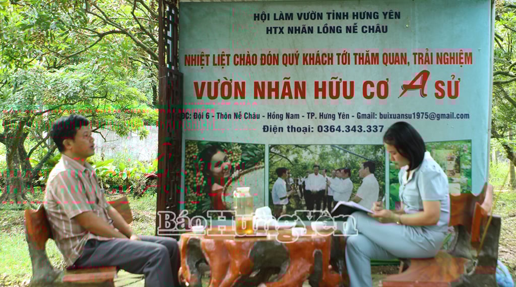 លោក Bui Xuan Su ពិភាក្សាជាមួយ PV