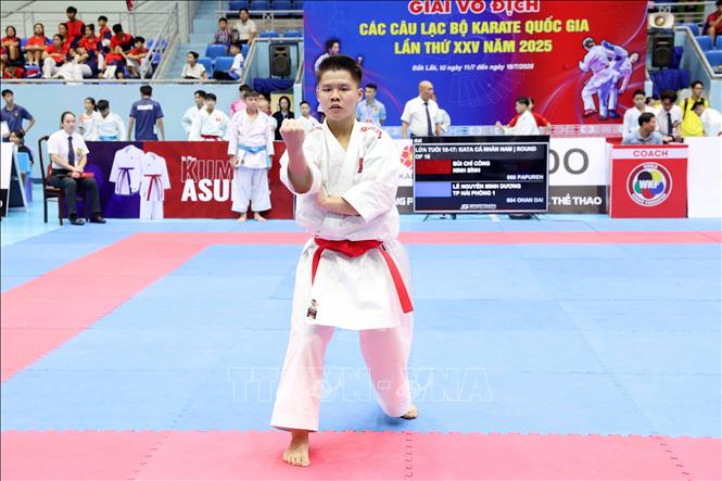 Khai mạc Giải vô địch các Câu lạc bộ Karate quốc gia - Ảnh 3.