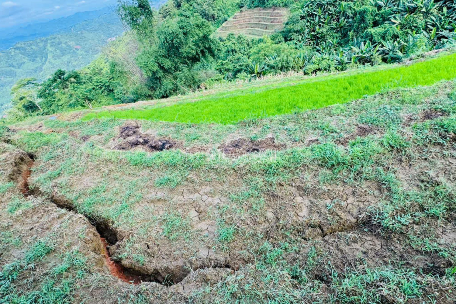 Các vệt nứt trên núi gây nguy hiểm tới các khu dân cư phía dưới ở thôn Tả Hồ.