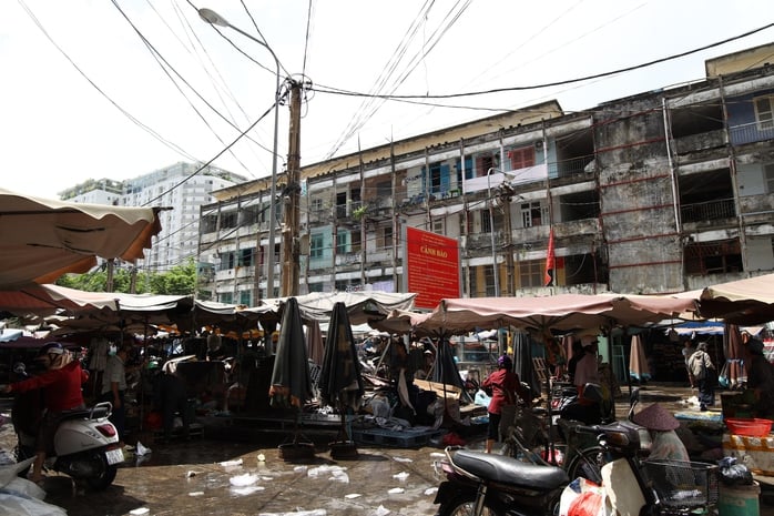 Loạt ảnh 