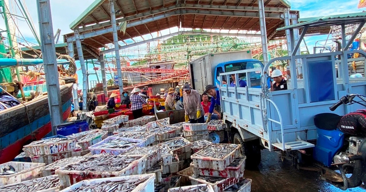 Ngư dân Đề Gi đoàn kết giữ vững chủ quyền biển, đảo