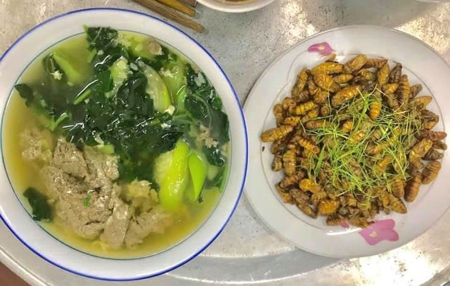 Món nhộng tằm rất ngon nhưng mẹ dặn tôi phải biết một điều, kẻo một lần ăn sai cả đời sợ hãi- Ảnh 5.