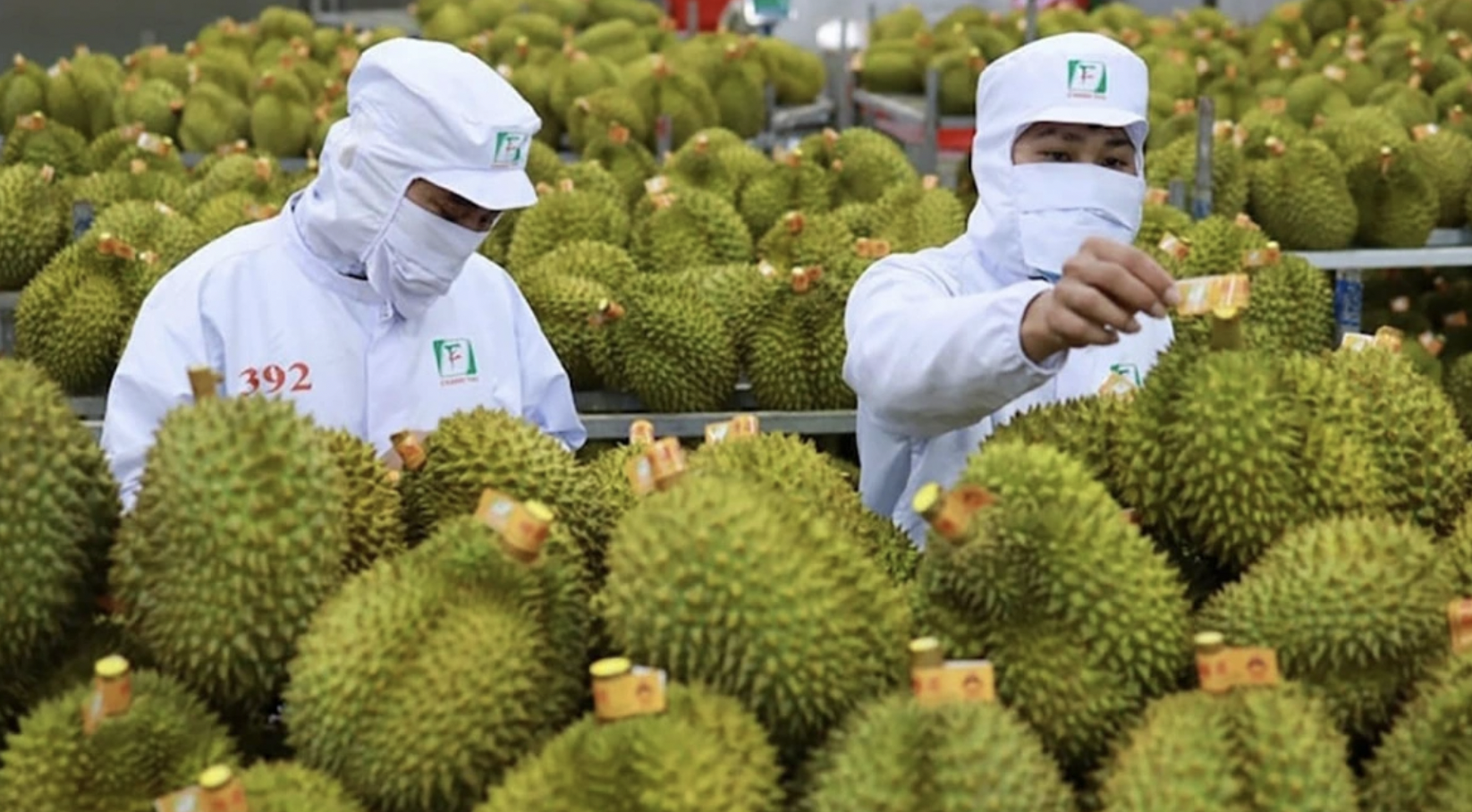 GDP của nước ta trong 6 tháng đầu năm đạt 7,52%