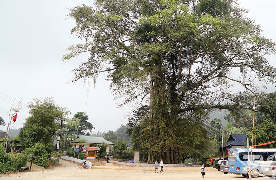 Di tích lịch sử Khuôn Tát, xã Phú Đình, tỉnh Thái Nguyên. Ảnh: Kim Ngân
