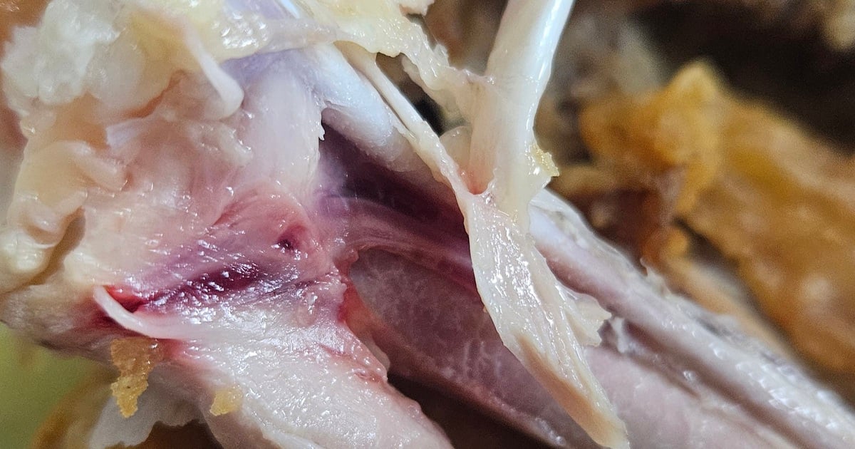 익힌 닭고기에 여전히 피가 묻어있다: 질병의 잠재적 원인