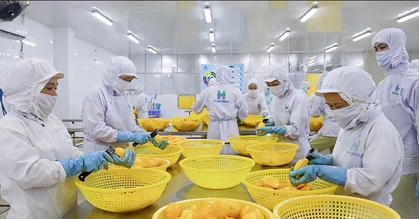 Xuất khẩu rau, quả năm 2025: Liệu có “cán đích” 8 tỷ USD?