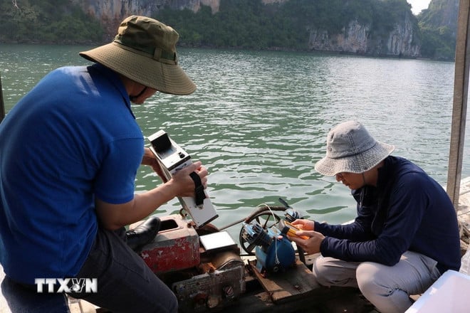 ttxvn-giam-sat-chat-luong-nuoc-vinh-ha-long-bang-cong-nghe-vien-tham.jpg