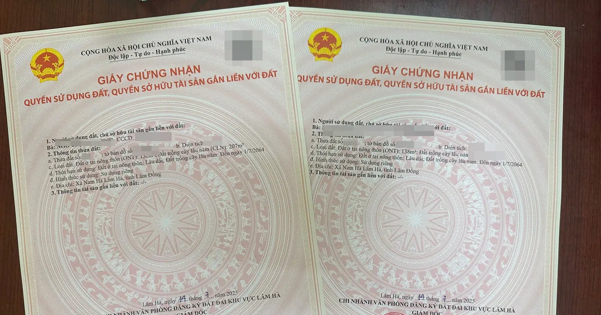 Lam Dong: Working on weekends to resolve land records for people