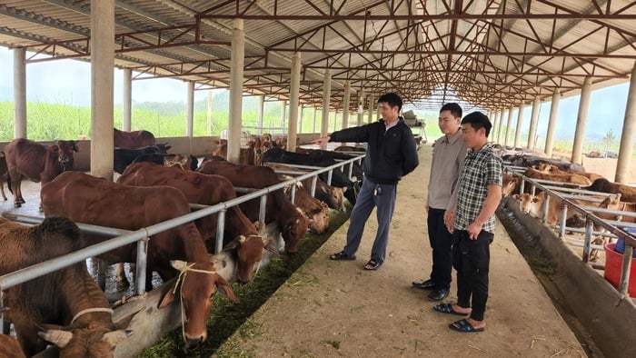 Lai Châu: Phát triển nông nghiệp hàng hóa hoàn thành mục tiêu chương trình xây dựng nông thôn mới- Ảnh 1.