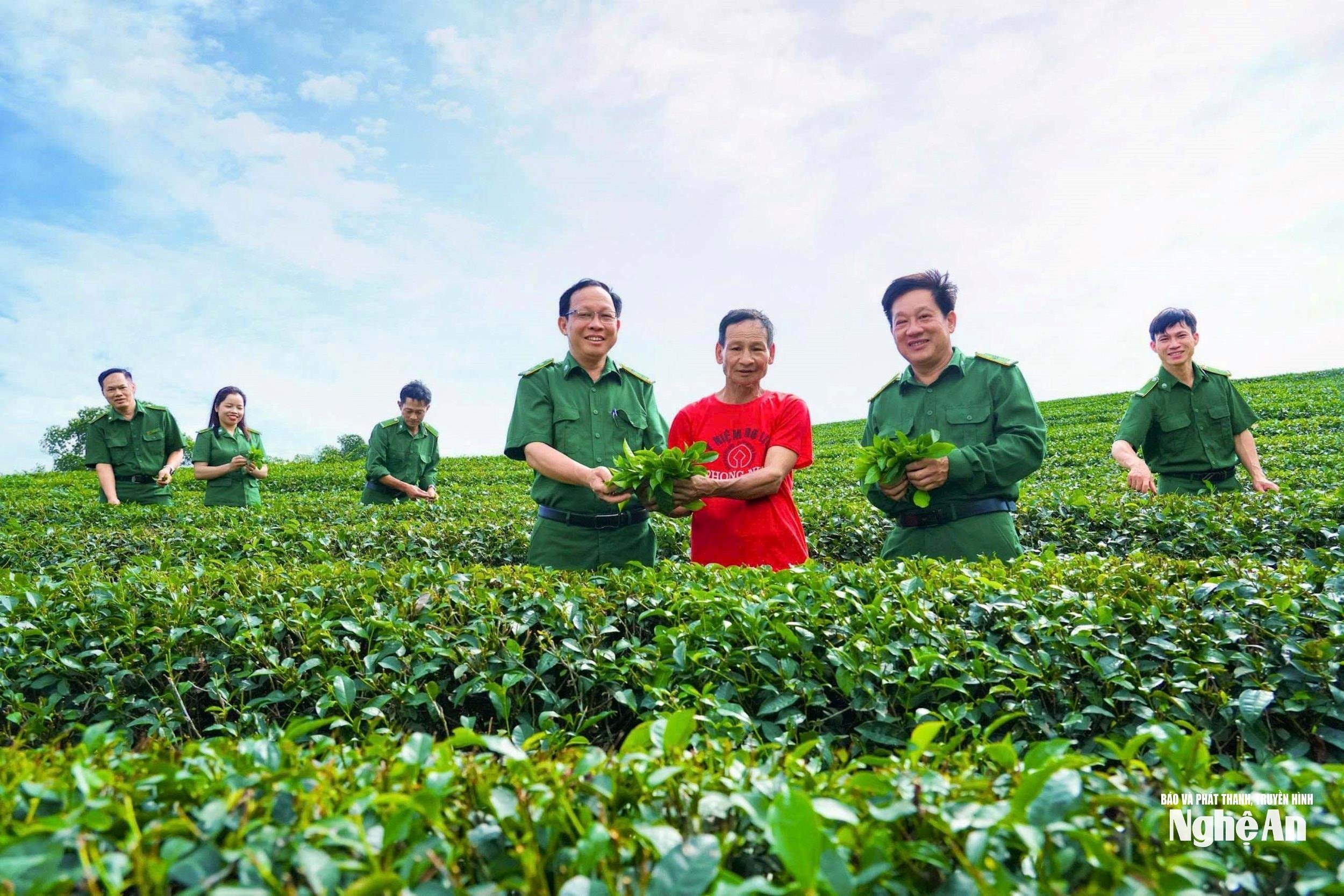 bna_anh-thanh-nien-xung-phong-tong-doi-5-0ca464c2aa59ead7688ad9b9c4345f70(1).jpg