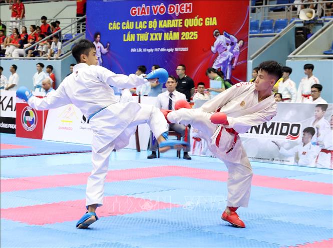 Khai mạc Giải vô địch các Câu lạc bộ Karate quốc gia - Ảnh 2.