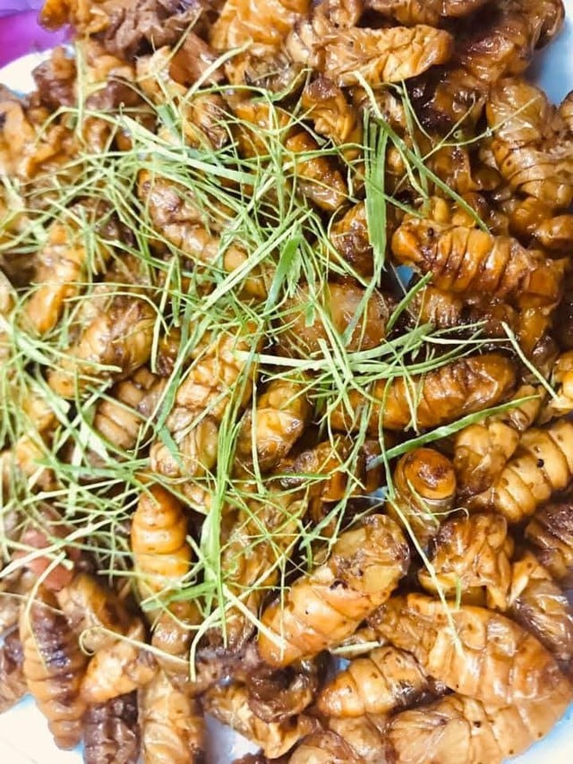 Món nhộng tằm rất ngon nhưng mẹ dặn tôi phải biết một điều, kẻo một lần ăn sai cả đời sợ hãi- Ảnh 2.